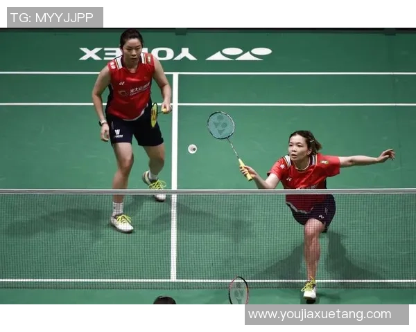 杭州羽毛球队战术解析与对比深度剖析助力球队提升竞技水平